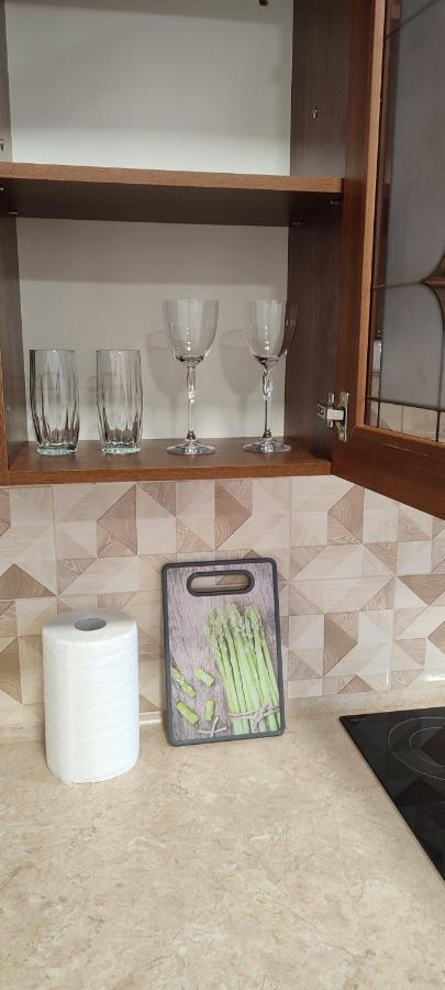 Sweethomeapartment Kamenets-Podolsk Eksteriør bilde